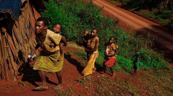 How African Pygmies Grow