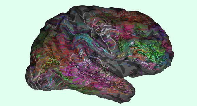 New Brain Map Shows Where Words Are Stored Inside Your Head