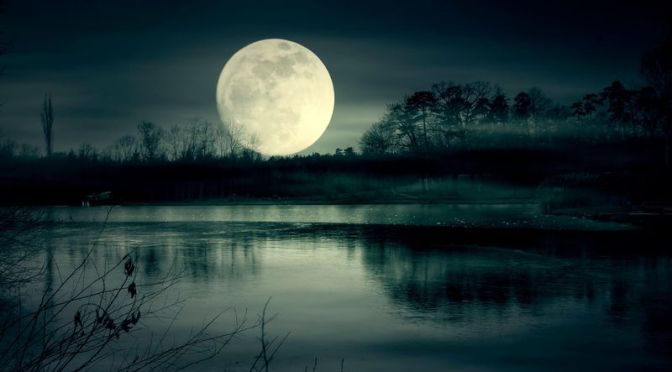 How Moonlight Sets Nature’s Rhythms