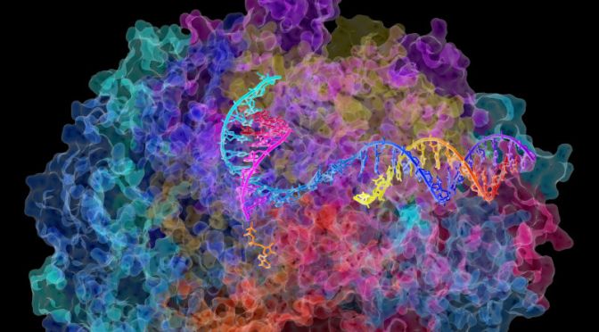 How Editing RNA—Not DNA—Could Cure Disease in the Future
