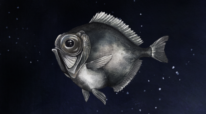 Some Deep-Sea Fish Can See Color in Near Total Darkness